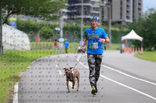 2021第四屆奔跑吧!毛小孩路跑綠寶石寵物公園場