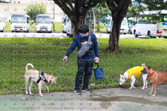 2021第四屆奔跑吧!毛小孩路跑綠寶石寵物公園場