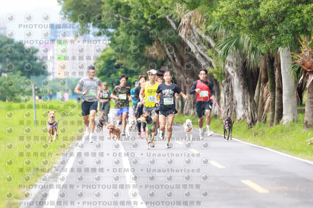 2021第四屆奔跑吧!毛小孩路跑綠寶石寵物公園場