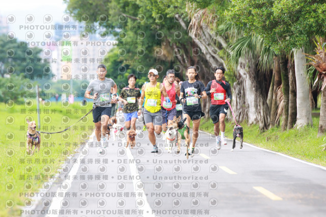 2021第四屆奔跑吧!毛小孩路跑綠寶石寵物公園場