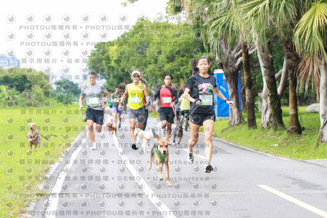 2021第四屆奔跑吧!毛小孩路跑綠寶石寵物公園場