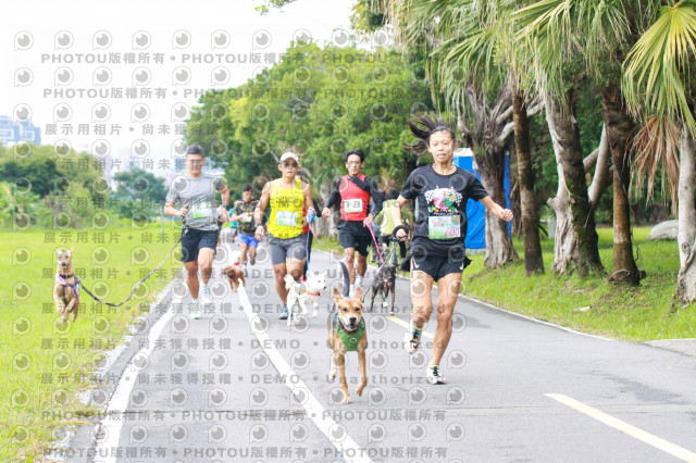 2021第四屆奔跑吧!毛小孩路跑綠寶石寵物公園場