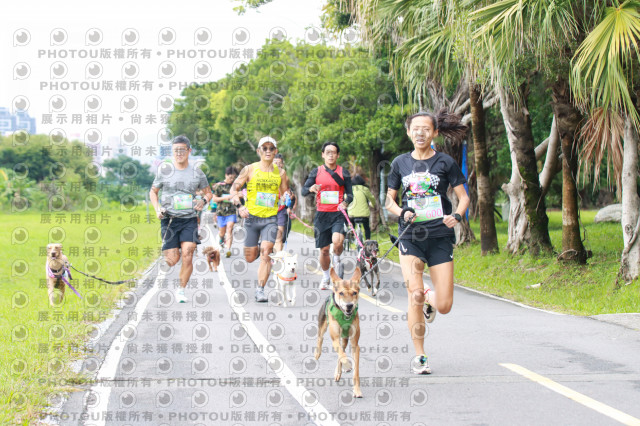 2021第四屆奔跑吧!毛小孩路跑綠寶石寵物公園場