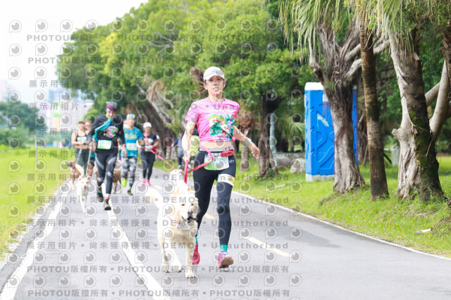 2021第四屆奔跑吧!毛小孩路跑綠寶石寵物公園場