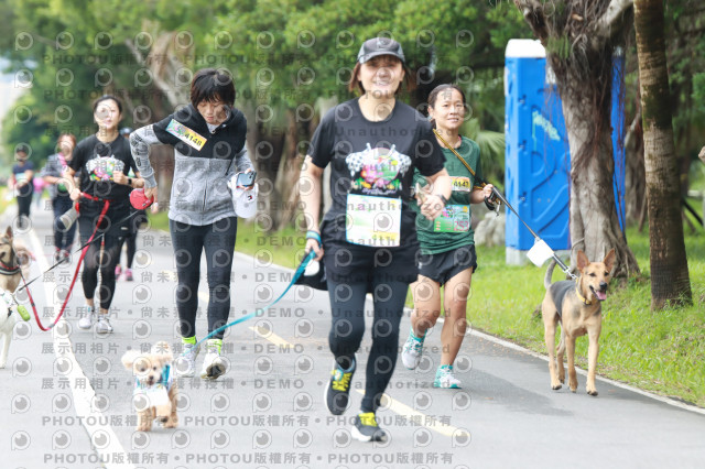 2021第四屆奔跑吧!毛小孩路跑綠寶石寵物公園場