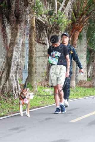 2021第四屆奔跑吧!毛小孩路跑綠寶石寵物公園場