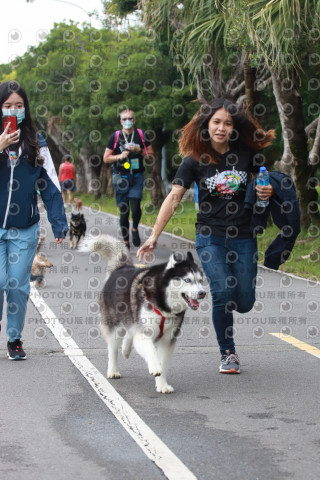 2021第四屆奔跑吧!毛小孩路跑綠寶石寵物公園場