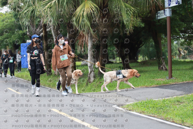 2021第四屆奔跑吧!毛小孩路跑綠寶石寵物公園場