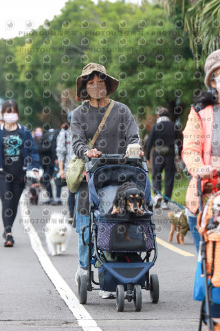 2021第四屆奔跑吧!毛小孩路跑綠寶石寵物公園場