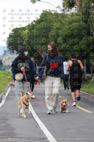 2021第四屆奔跑吧!毛小孩路跑綠寶石寵物公園場