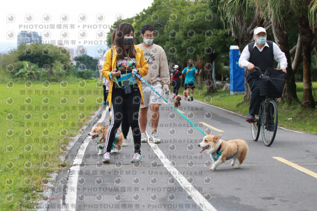 2021第四屆奔跑吧!毛小孩路跑綠寶石寵物公園場