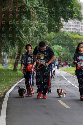 2021第四屆奔跑吧!毛小孩路跑綠寶石寵物公園場