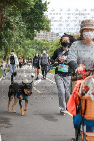 2021第四屆奔跑吧!毛小孩路跑綠寶石寵物公園場