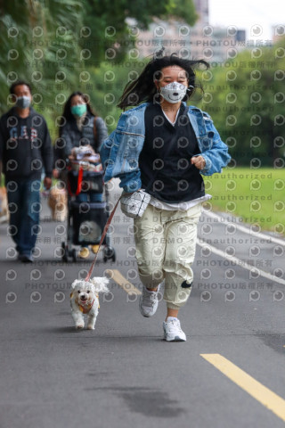 2021第四屆奔跑吧!毛小孩路跑綠寶石寵物公園場