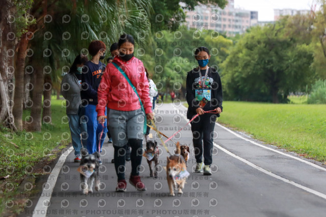 2021第四屆奔跑吧!毛小孩路跑綠寶石寵物公園場