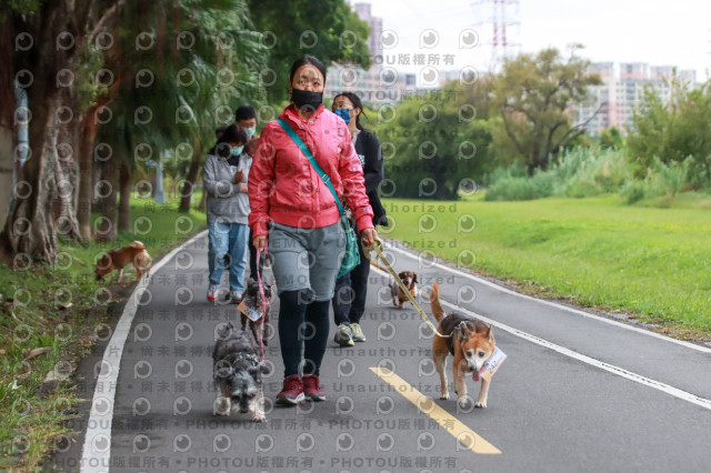 2021第四屆奔跑吧!毛小孩路跑綠寶石寵物公園場