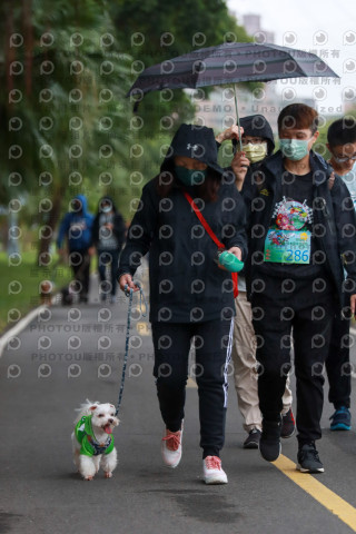 2021第四屆奔跑吧!毛小孩路跑綠寶石寵物公園場