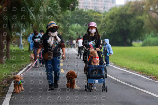 2021第四屆奔跑吧!毛小孩路跑綠寶石寵物公園場