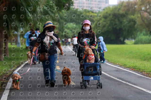 2021第四屆奔跑吧!毛小孩路跑綠寶石寵物公園場