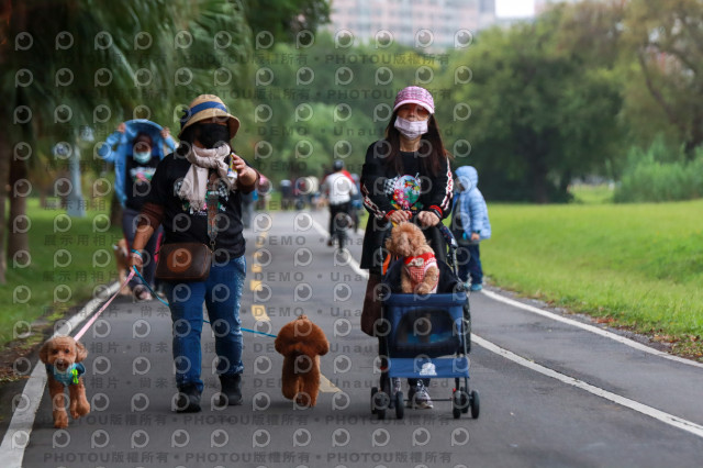 2021第四屆奔跑吧!毛小孩路跑綠寶石寵物公園場