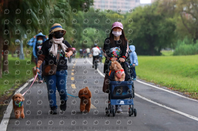 2021第四屆奔跑吧!毛小孩路跑綠寶石寵物公園場