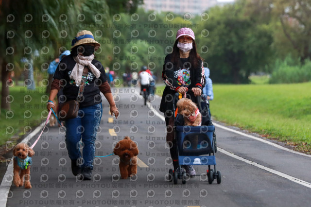 2021第四屆奔跑吧!毛小孩路跑綠寶石寵物公園場