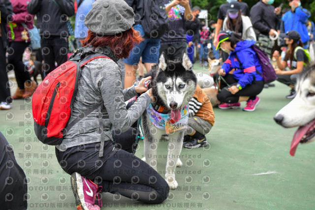 2021第四屆奔跑吧!毛小孩路跑綠寶石寵物公園場