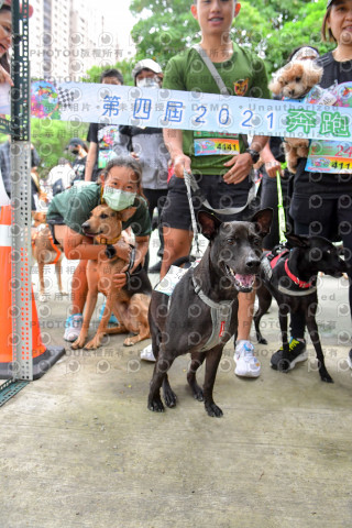 2021第四屆奔跑吧!毛小孩路跑綠寶石寵物公園場