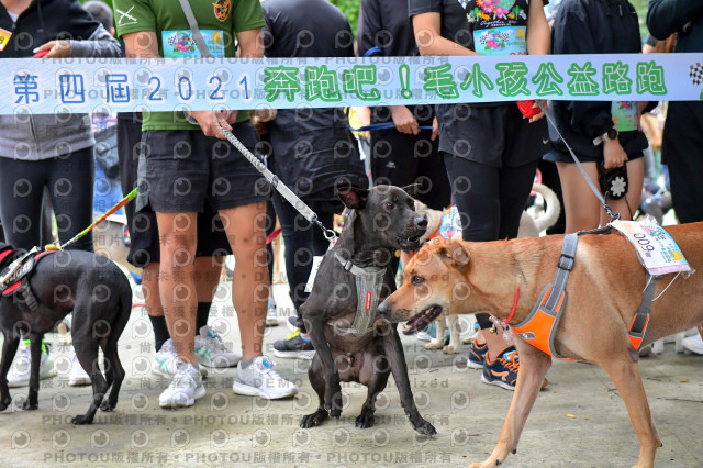 2021第四屆奔跑吧!毛小孩路跑綠寶石寵物公園場