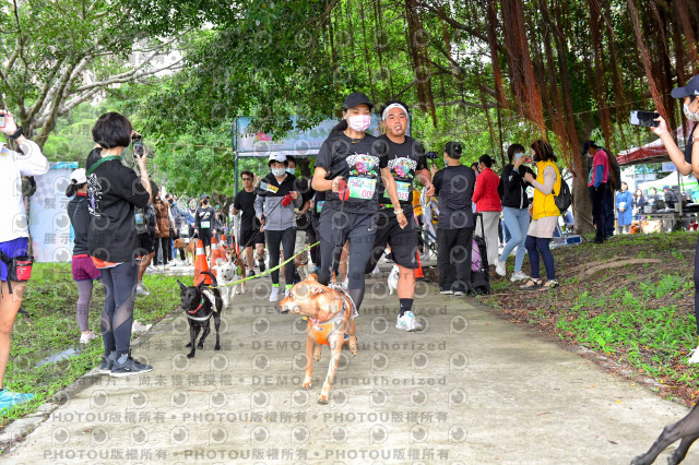 2021第四屆奔跑吧!毛小孩路跑綠寶石寵物公園場