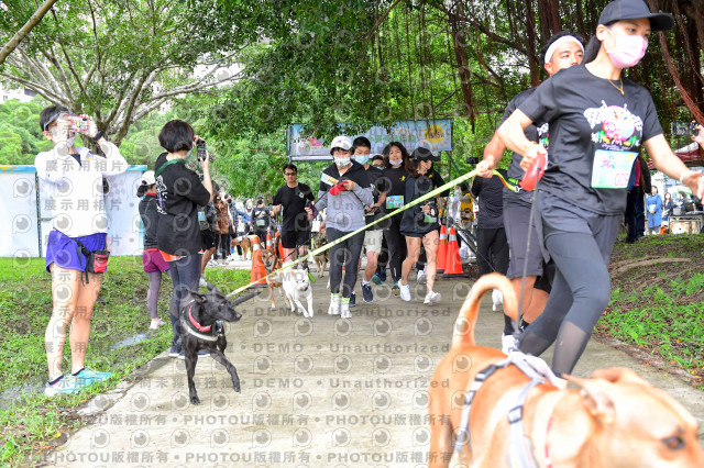 2021第四屆奔跑吧!毛小孩路跑綠寶石寵物公園場