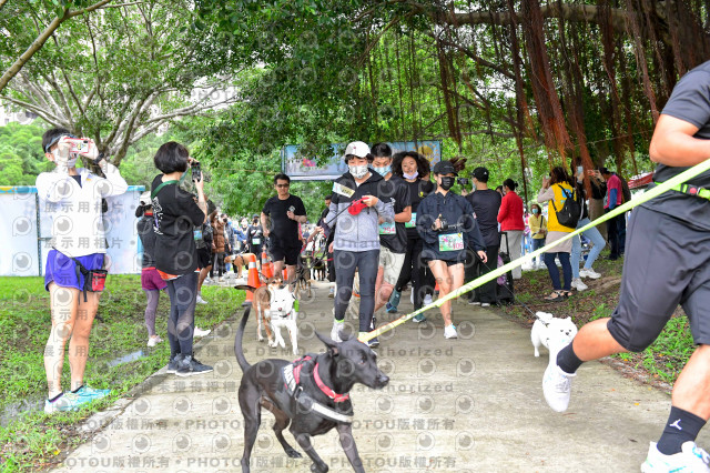 2021第四屆奔跑吧!毛小孩路跑綠寶石寵物公園場