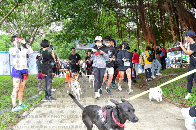 2021第四屆奔跑吧!毛小孩路跑綠寶石寵物公園場