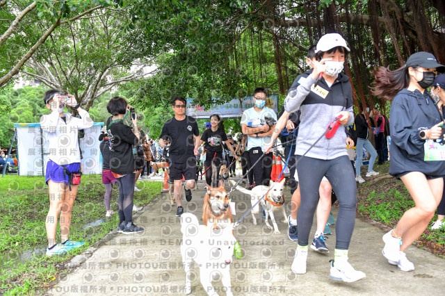 2021第四屆奔跑吧!毛小孩路跑綠寶石寵物公園場