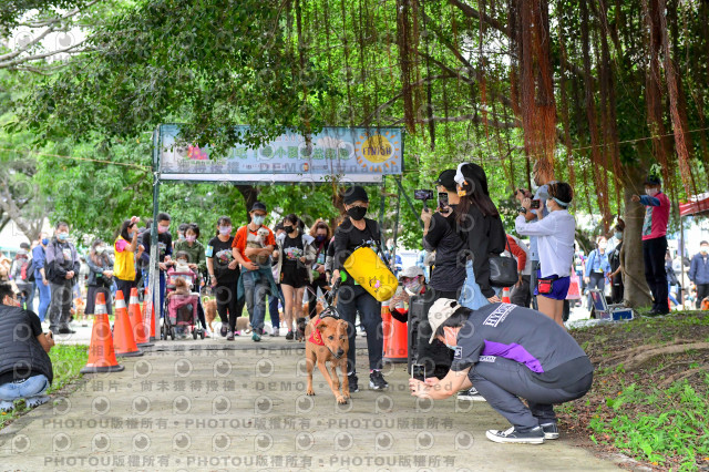 2021第四屆奔跑吧!毛小孩路跑綠寶石寵物公園場