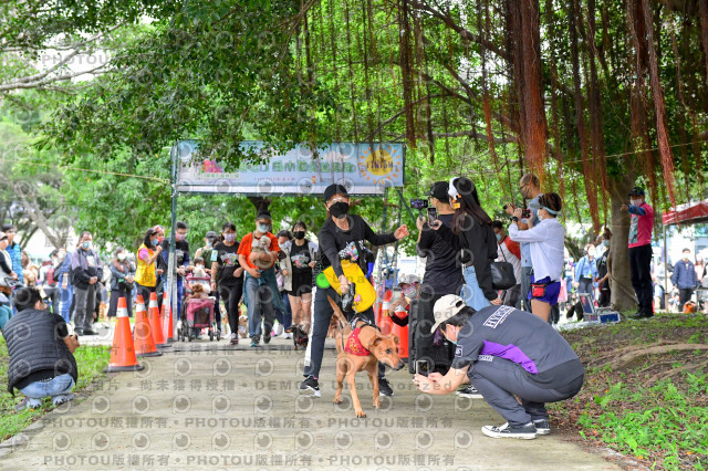 2021第四屆奔跑吧!毛小孩路跑綠寶石寵物公園場