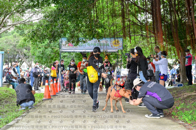 2021第四屆奔跑吧!毛小孩路跑綠寶石寵物公園場