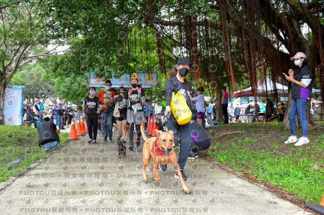 2021第四屆奔跑吧!毛小孩路跑綠寶石寵物公園場