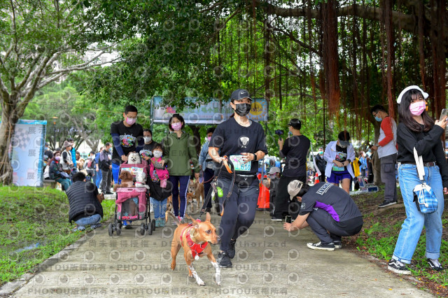 2021第四屆奔跑吧!毛小孩路跑綠寶石寵物公園場