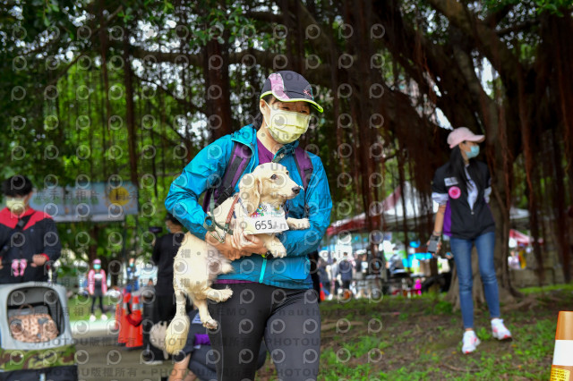 2021第四屆奔跑吧!毛小孩路跑綠寶石寵物公園場