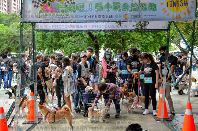 2021第四屆奔跑吧!毛小孩路跑綠寶石寵物公園場