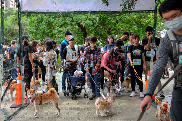 2021第四屆奔跑吧!毛小孩路跑綠寶石寵物公園場