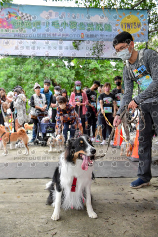 2021第四屆奔跑吧!毛小孩路跑綠寶石寵物公園場