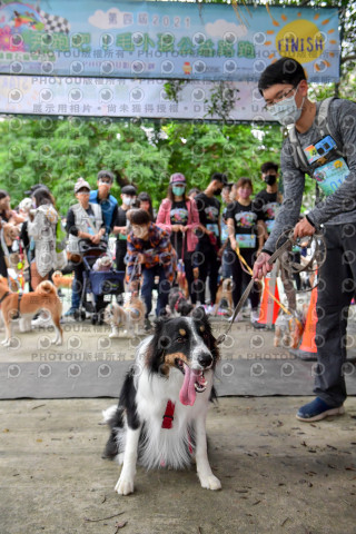 2021第四屆奔跑吧!毛小孩路跑綠寶石寵物公園場