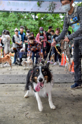 2021第四屆奔跑吧!毛小孩路跑綠寶石寵物公園場