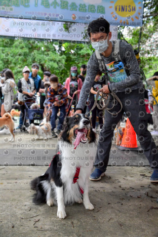 2021第四屆奔跑吧!毛小孩路跑綠寶石寵物公園場