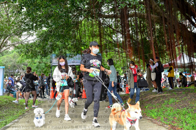 2021第四屆奔跑吧!毛小孩路跑綠寶石寵物公園場