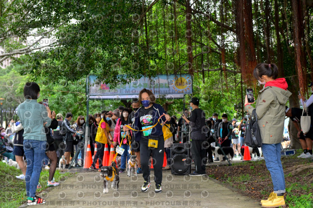 2021第四屆奔跑吧!毛小孩路跑綠寶石寵物公園場