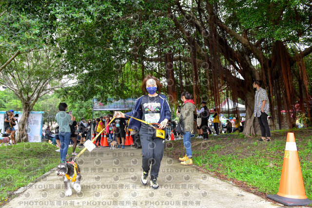 2021第四屆奔跑吧!毛小孩路跑綠寶石寵物公園場