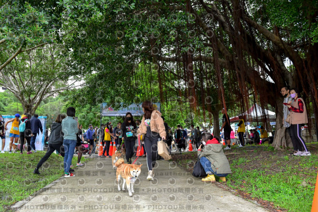 2021第四屆奔跑吧!毛小孩路跑綠寶石寵物公園場